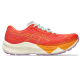 Asics Fuji Speed 3 Ladies